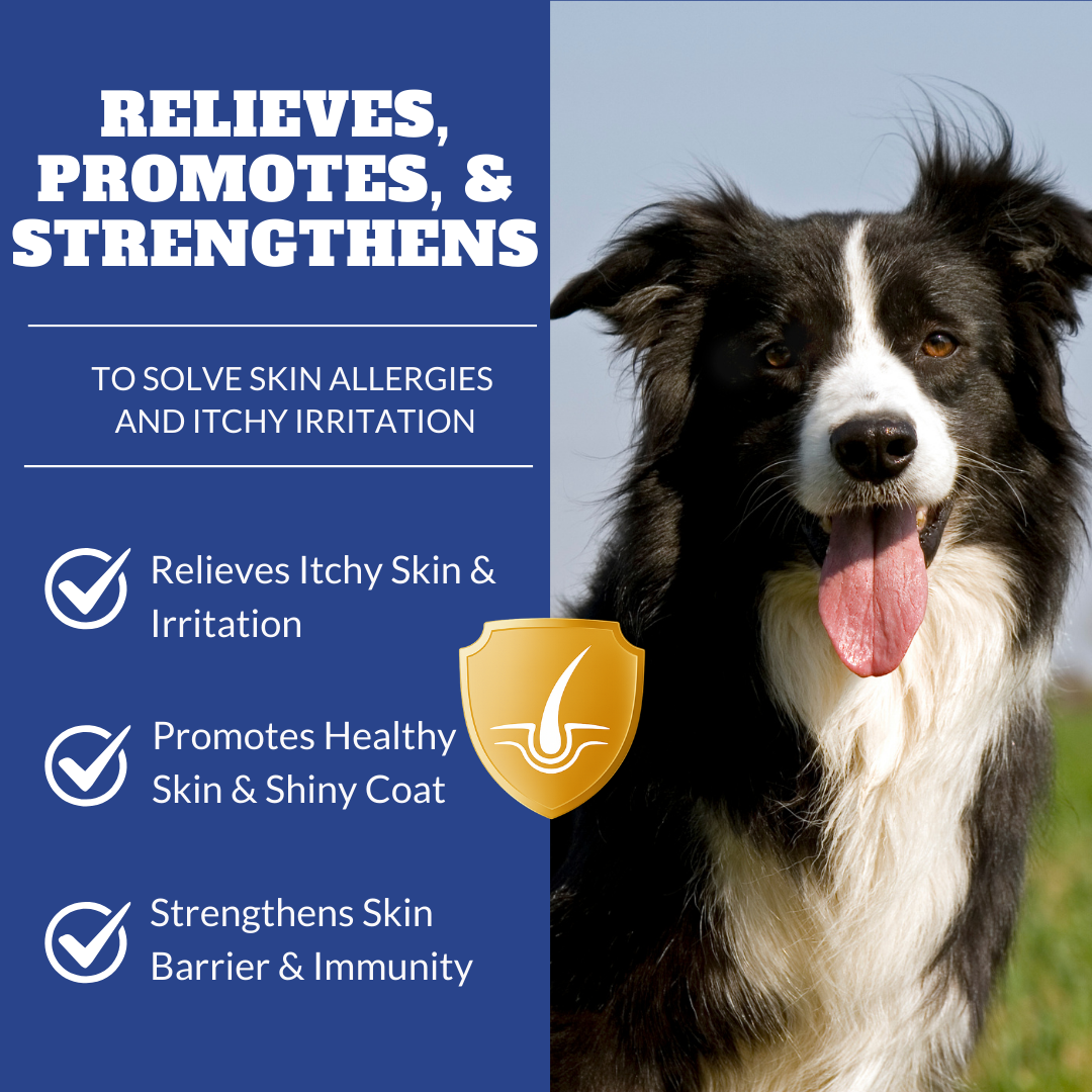Dog & Cat Allergy & Itch Relief Chews | Supports Treatment for Paw Licking, Itchy Skin, Hot Spots, Dry Skin, & Seasonal Skin/Coat Allergies | Promotes Yeast Balance | Formulated with Fish Oil, Colostrum, Vitamins, & Probiotics | 120 Ct
