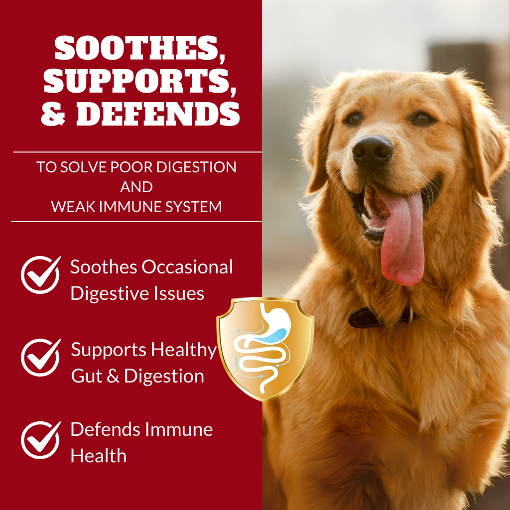 Probiotics for Dogs & Cats | Supports Sensitive Stomachs, Itchy Skin, Allergies, Immunity, Yeast Balance, & Oral Health | Dog Probiotic & Digestive Enzymes with Prebiotics | Reduces Diarrhea & Gas | 120 Ct