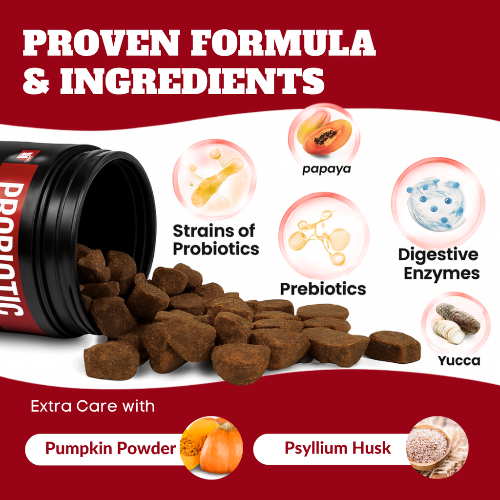 Probiotics for Dogs & Cats | Supports Sensitive Stomachs, Itchy Skin, Allergies, Immunity, Yeast Balance, & Oral Health | Dog Probiotic & Digestive Enzymes with Prebiotics | Reduces Diarrhea & Gas | 120 Ct