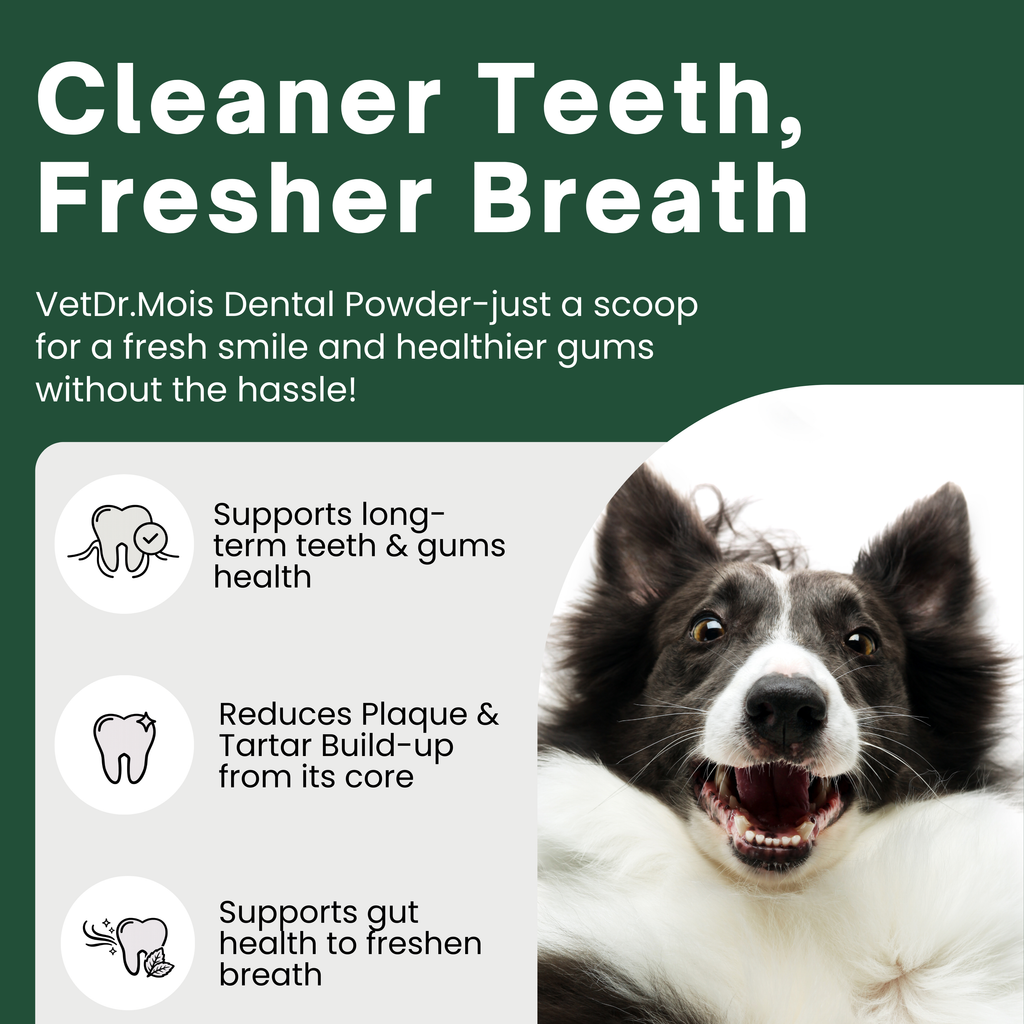Dog Teeth Cleaning Powder for Dogs & Cats, Dental Powder for Plaque & Tartar Control, Fresh Breath Oral Care, No Brushing Needed, 150g