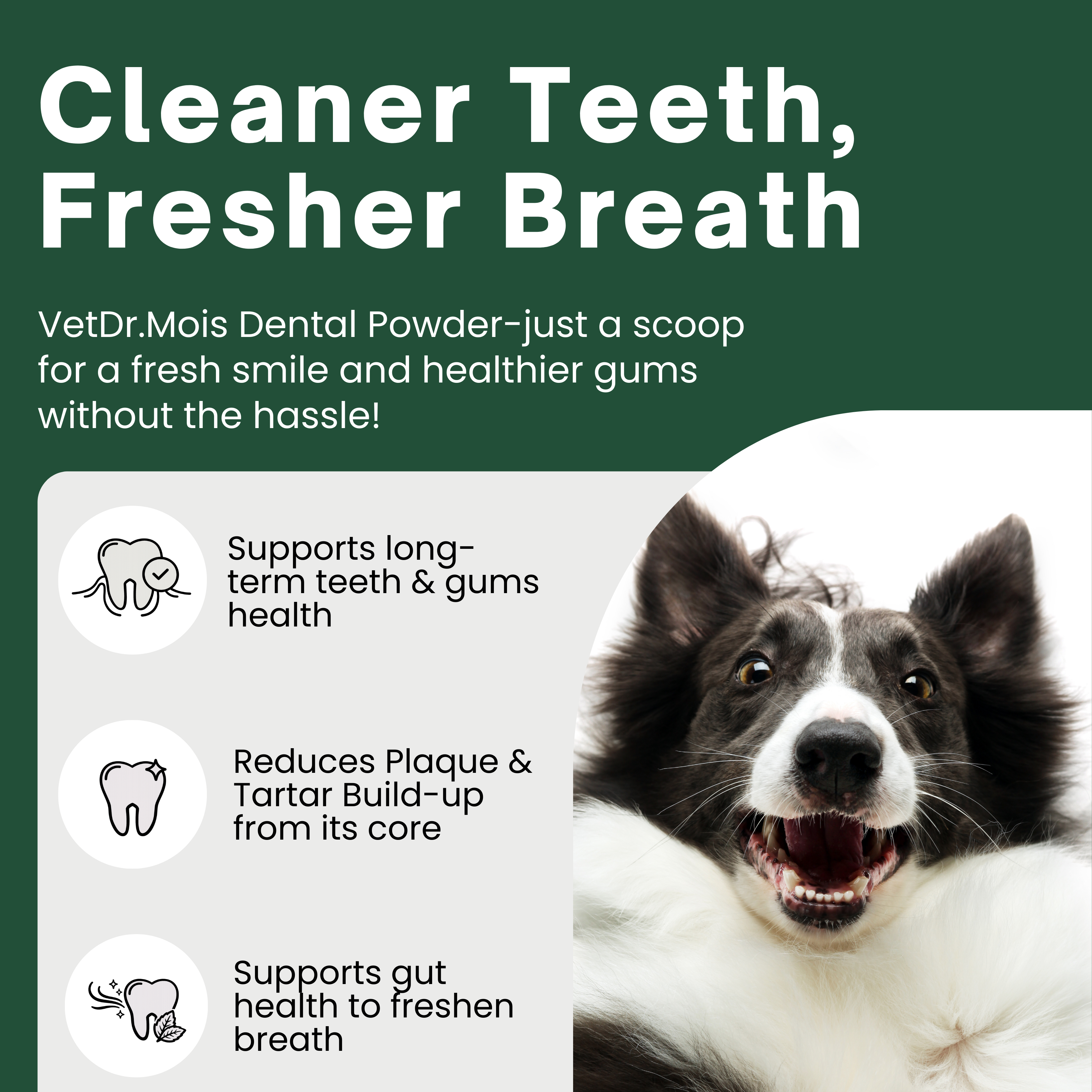 Dog Teeth Cleaning Powder for Dogs & Cats, Dental Powder for Plaque & Tartar Control, Fresh Breath Oral Care, No Brushing Needed, 150g
