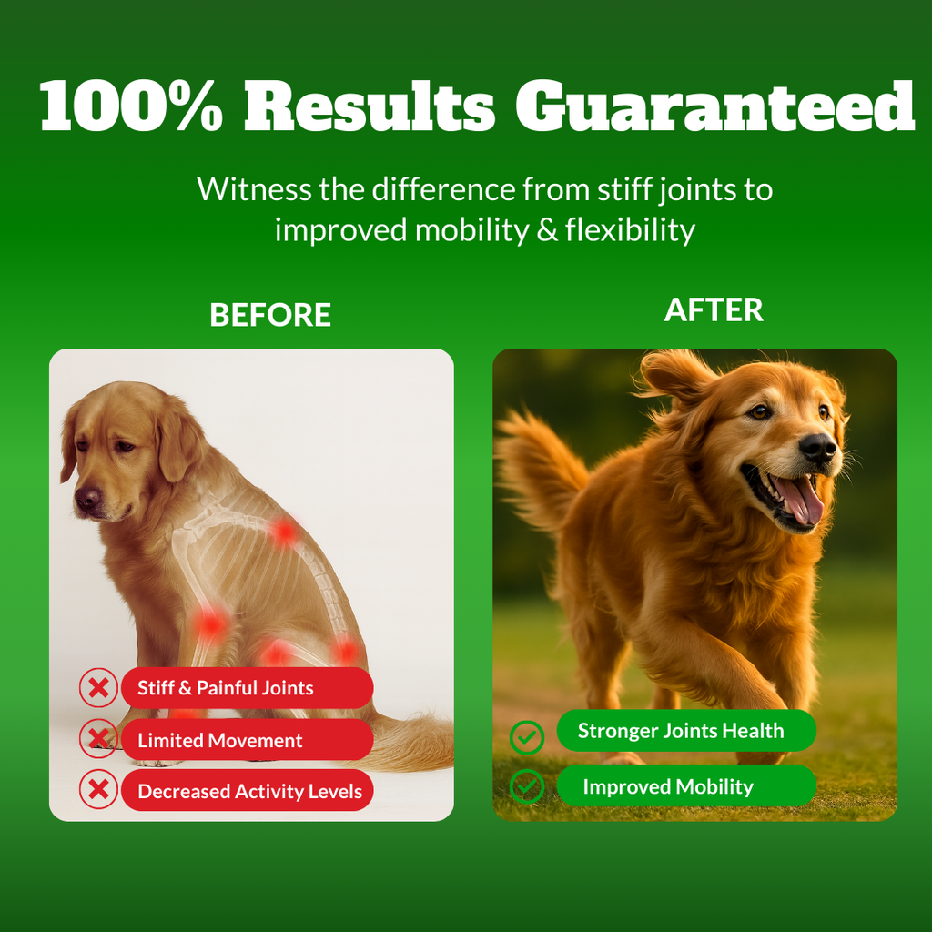 Dog Joint Supplement Chews with Glucosamine, MSM, & Omega-3 | Joint Support for Senior & Large Breed Dogs | Promotes Longevity & Healthy Aging | Supports Mobility & Flexibility with CoQ10 | 120 Ct