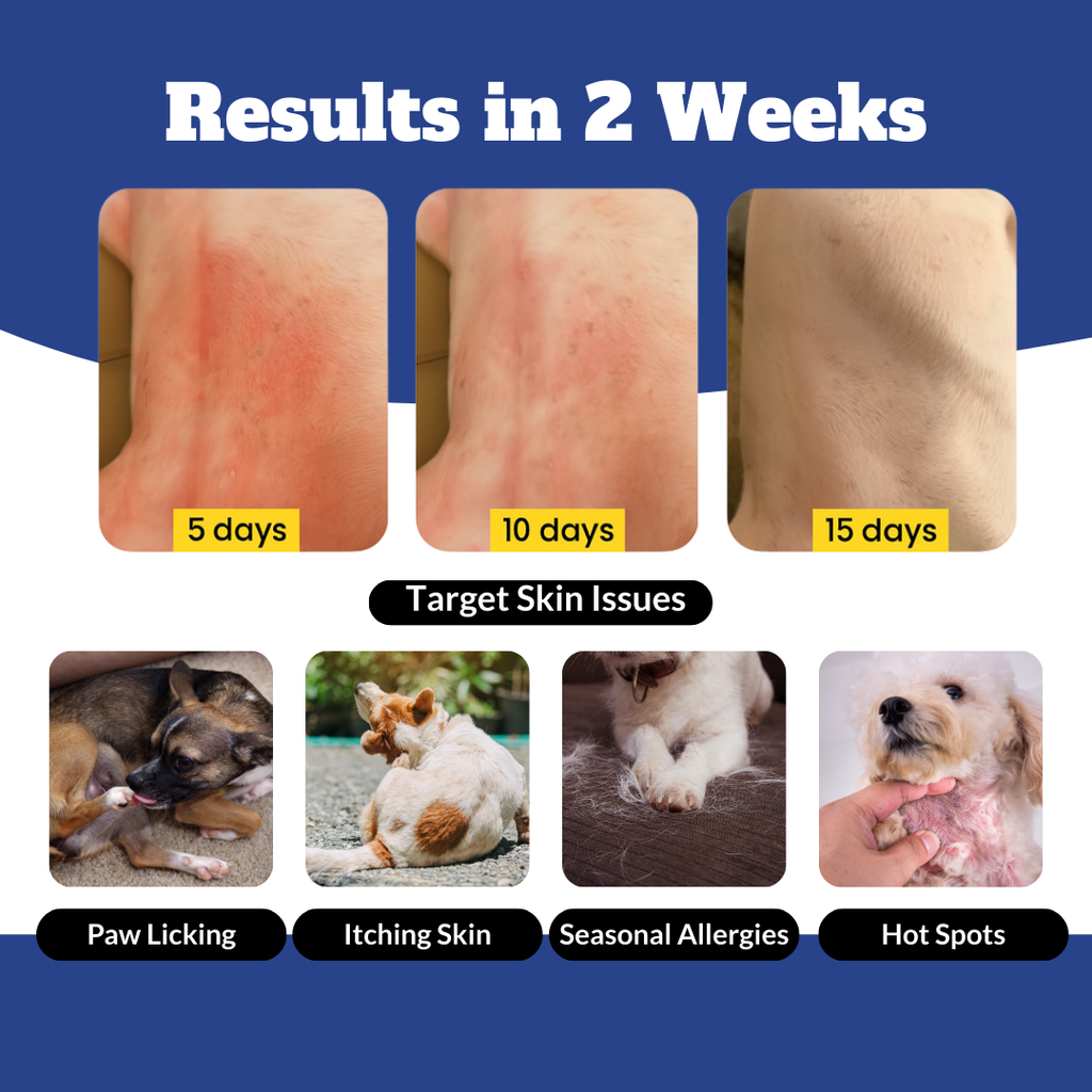 Dog & Cat Allergy & Itch Relief Chews | Supports Treatment for Paw Licking, Itchy Skin, Hot Spots, Dry Skin, & Seasonal Skin/Coat Allergies | Promotes Yeast Balance | Formulated with Fish Oil, Colostrum, Vitamins, & Probiotics | 120 Ct