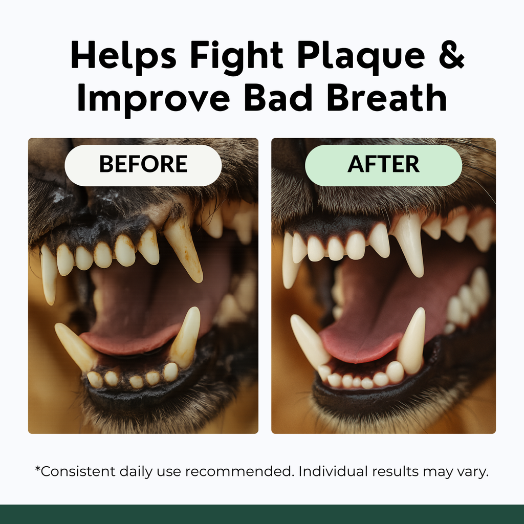 Dog Teeth Cleaning Powder, Dog Dental Powder and Cats Breath Freshener, Plaque Off Pet Tooth Cleaning lab co, Bad Breath & Tartar Remover for Dogs, Dog Teeth Cleaning with Enzymes 120 Day Supply, 120g