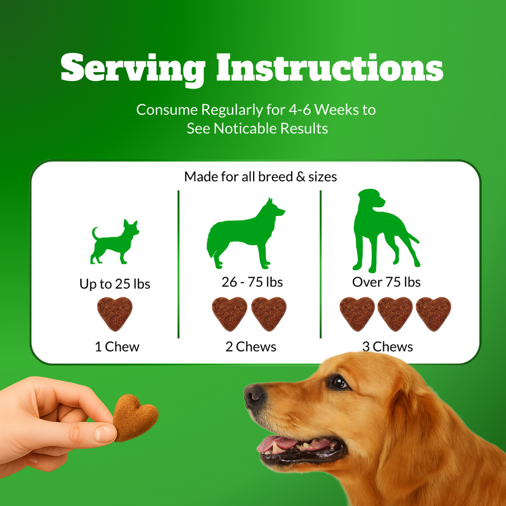 Dog Joint Supplement Chews with Glucosamine, MSM, & Omega-3 | Joint Support for Senior & Large Breed Dogs | Promotes Longevity & Healthy Aging | Supports Mobility & Flexibility with CoQ10 | 120 Ct