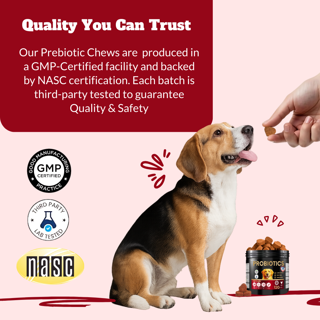 Probiotics for Dogs & Cats | Supports Sensitive Stomachs, Itchy Skin, Allergies, Immunity, Yeast Balance, & Oral Health | Dog Probiotic & Digestive Enzymes with Prebiotics | Reduces Diarrhea & Gas | 120 Ct