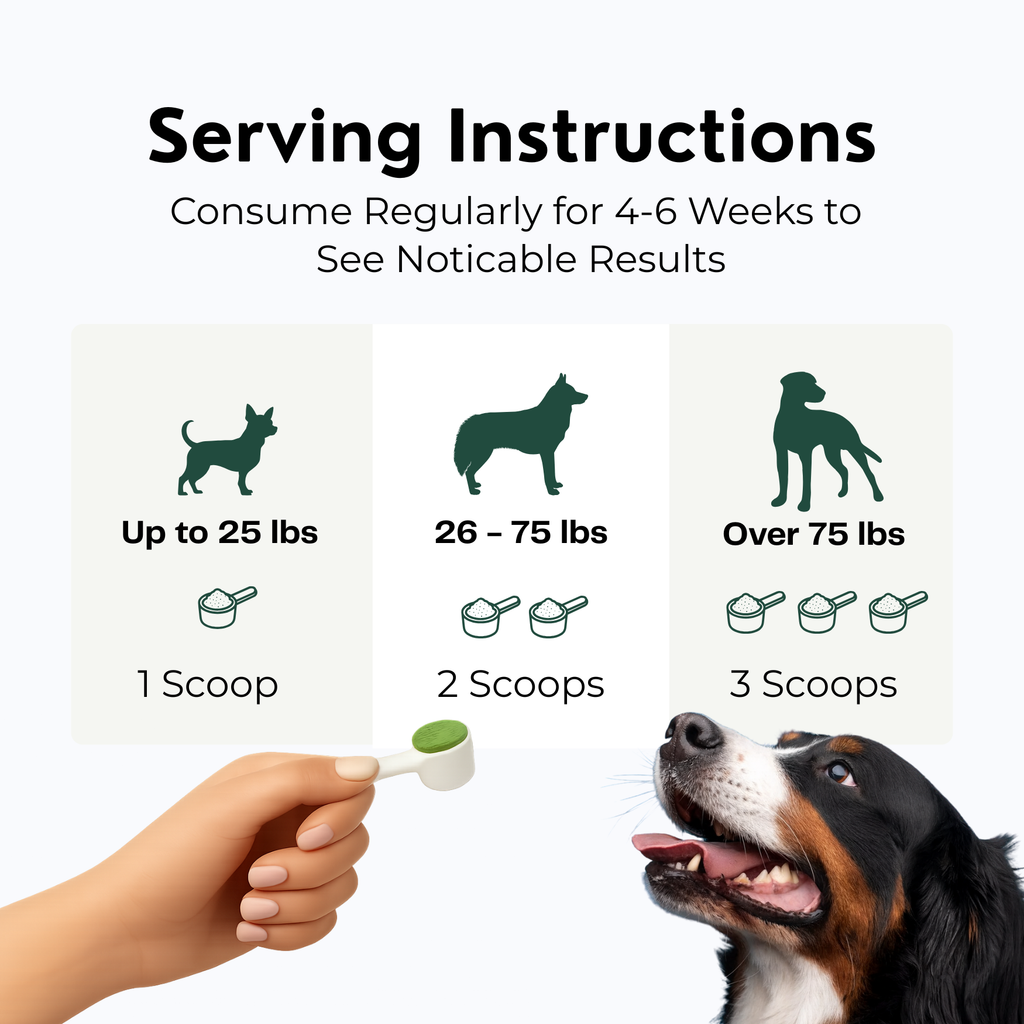 Dog Teeth Cleaning Powder, Dog Dental Powder and Cats Breath Freshener, Plaque Off Pet Tooth Cleaning lab co, Bad Breath & Tartar Remover for Dogs, Dog Teeth Cleaning with Enzymes 120 Day Supply, 120g