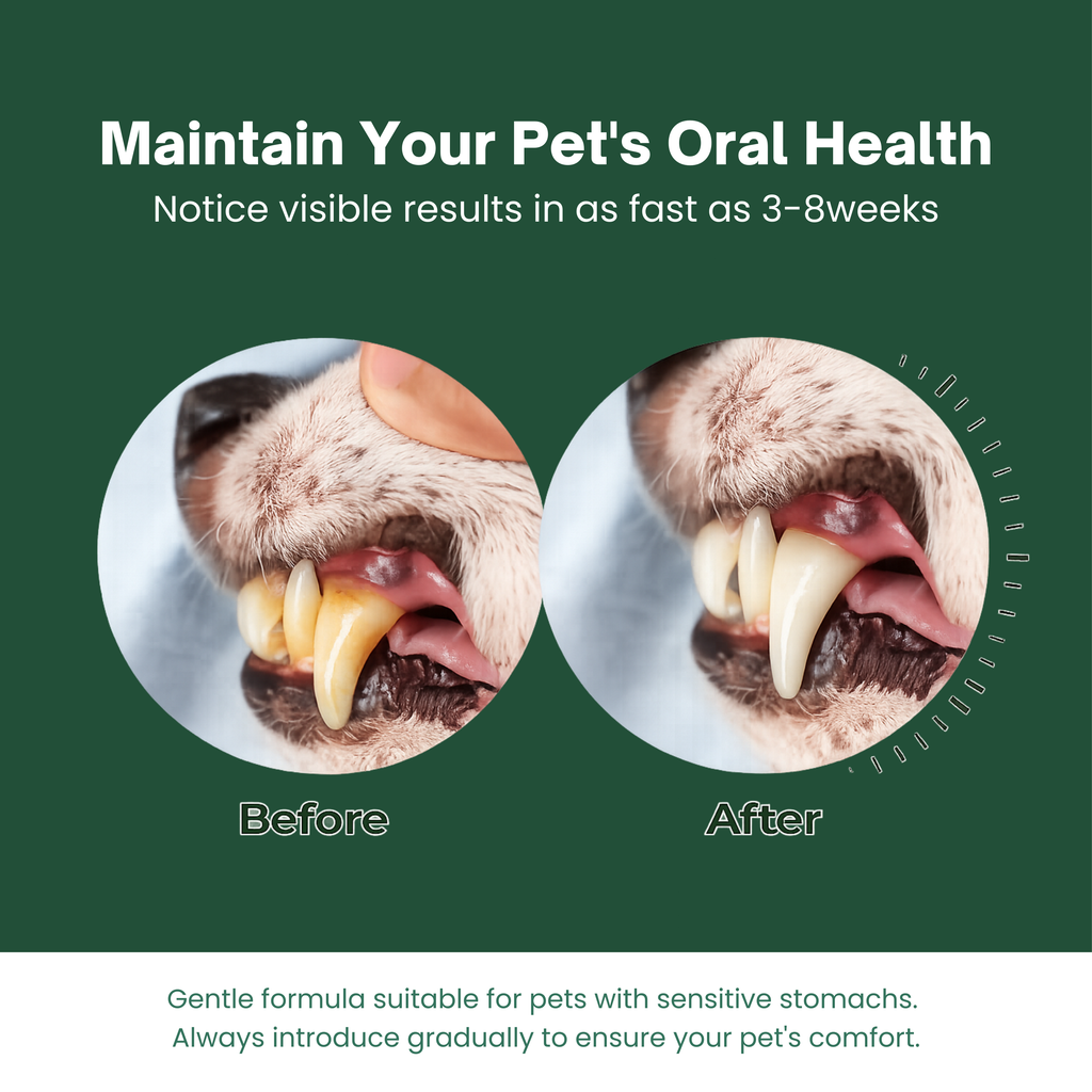 Dog Teeth Cleaning Powder for Dogs & Cats, Dental Powder for Plaque & Tartar Control, Fresh Breath Oral Care, No Brushing Needed, 150g