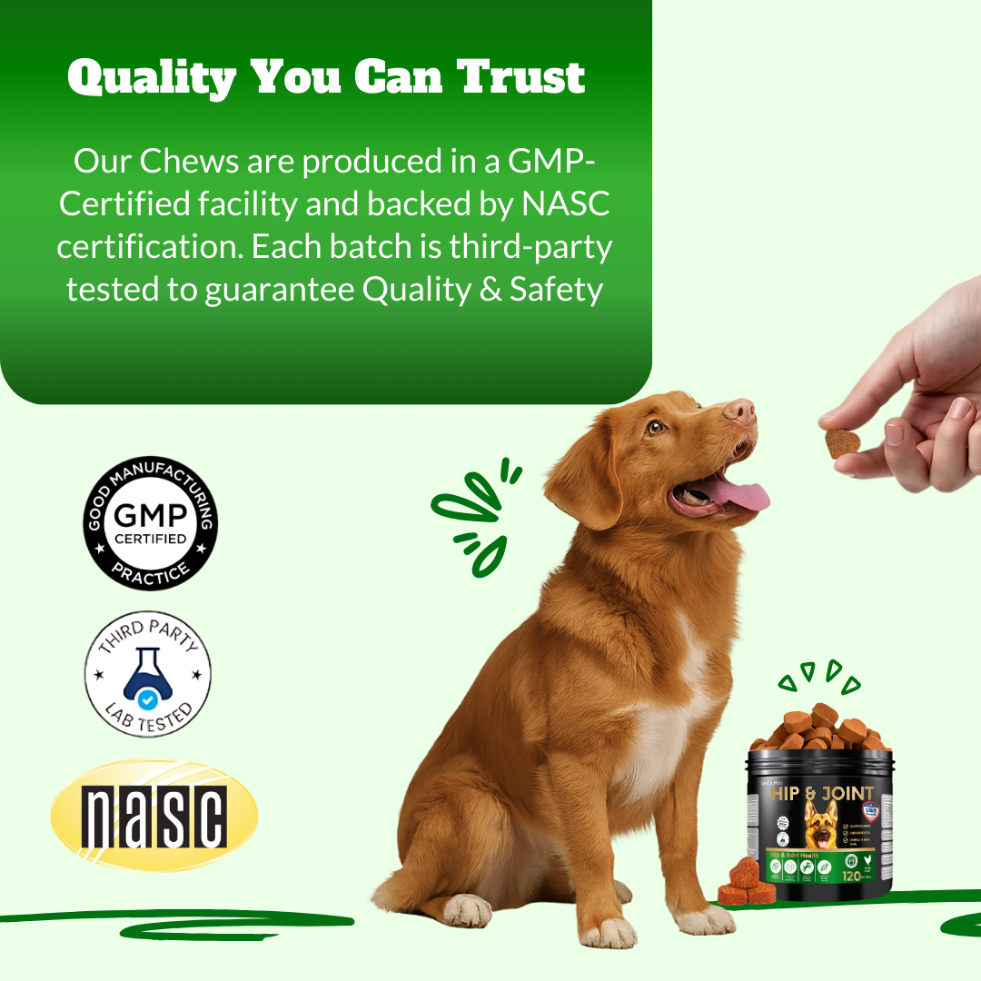 Dog Joint Supplement Chews with Glucosamine, MSM, & Omega-3 | Joint Support for Senior & Large Breed Dogs | Promotes Longevity & Healthy Aging | Supports Mobility & Flexibility with CoQ10 | 120 Ct