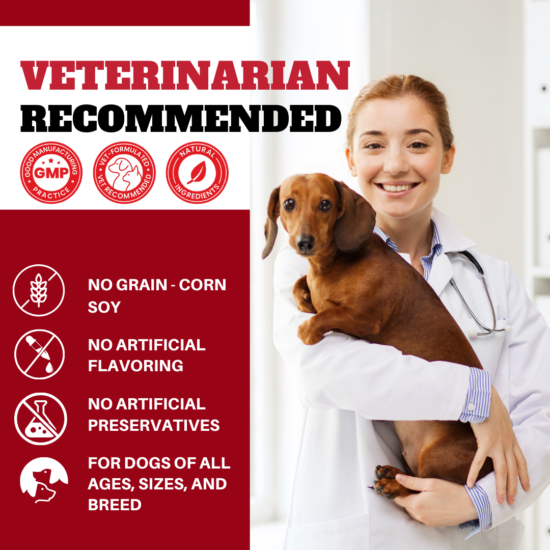 Probiotics for Dogs & Cats | Supports Sensitive Stomachs, Itchy Skin, Allergies, Immunity, Yeast Balance, & Oral Health | Dog Probiotic & Digestive Enzymes with Prebiotics | Reduces Diarrhea & Gas | 120 Ct