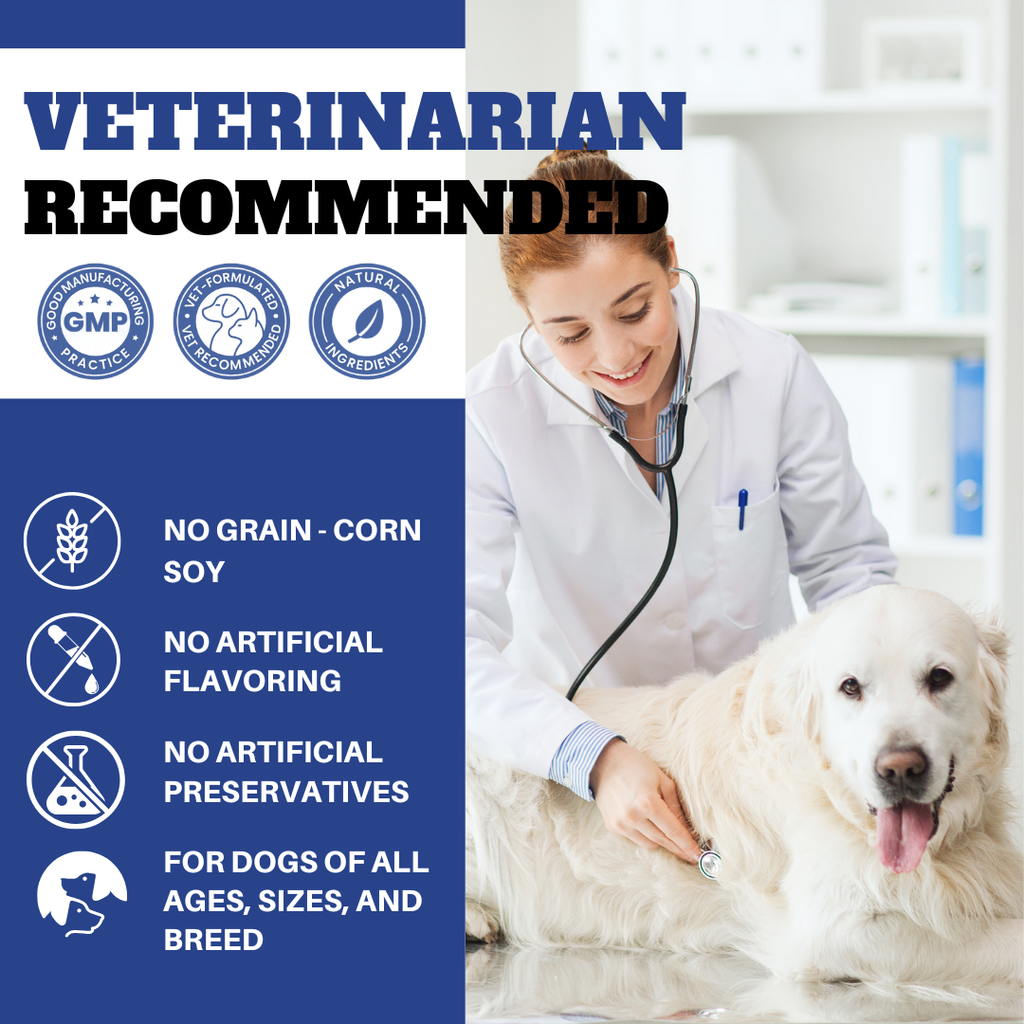 Dog & Cat Allergy & Itch Relief Chews | Supports Treatment for Paw Licking, Itchy Skin, Hot Spots, Dry Skin, & Seasonal Skin/Coat Allergies | Promotes Yeast Balance | Formulated with Fish Oil, Colostrum, Vitamins, & Probiotics | 120 Ct