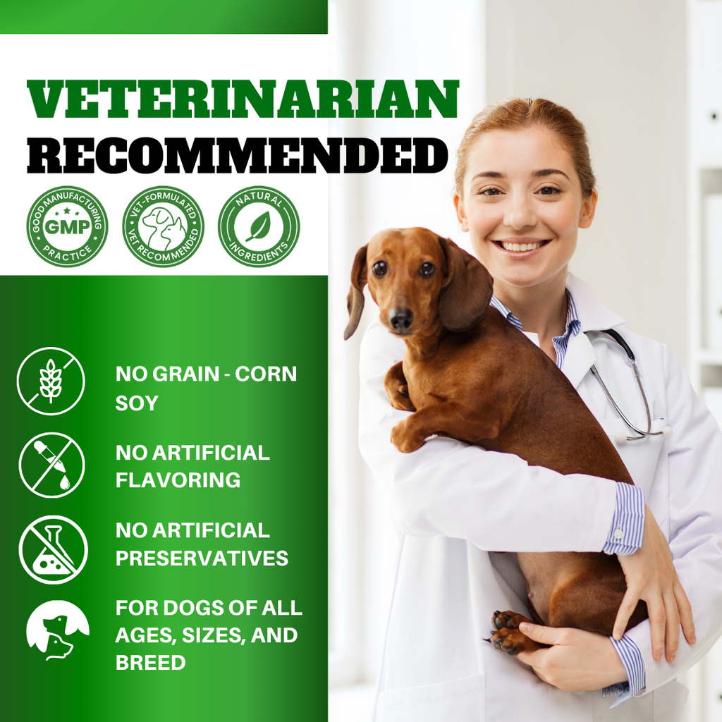Dog Joint Supplement Chews with Glucosamine, MSM, & Omega-3 | Joint Support for Senior & Large Breed Dogs | Promotes Longevity & Healthy Aging | Supports Mobility & Flexibility with CoQ10 | 120 Ct